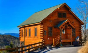 this resort cabin is a great source of rental income