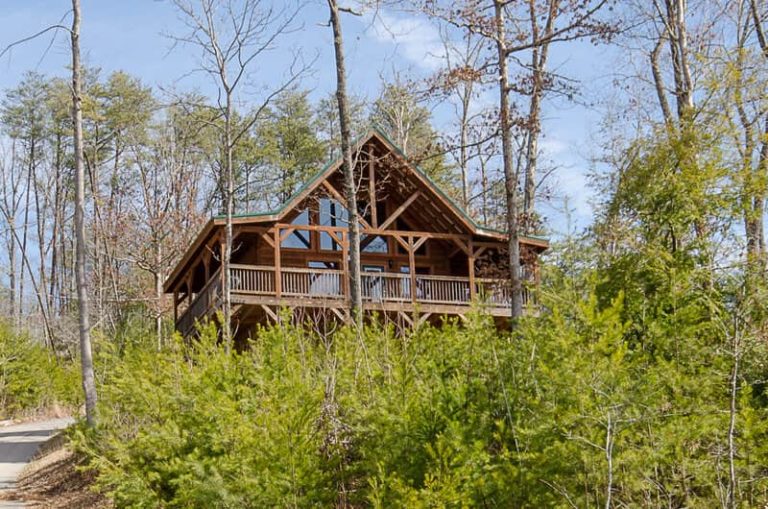 cabin rental income