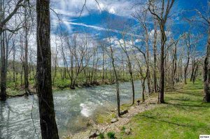 View of River from this home.