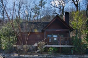 1-bedroom cabin